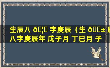 生辰八 🦋 字庚辰（生 🐱 辰八字庚辰年 戊子月 丁巳月 子时的人生活怎么样）